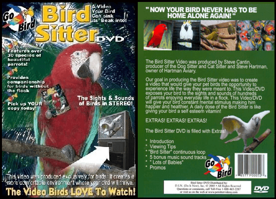 bird sitter